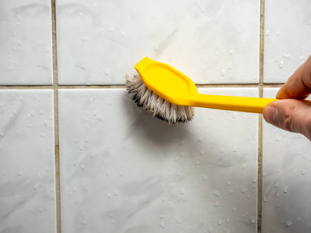 Best Black Mold Remediation in Corydon, IA